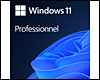 Microsoft Windows 11 Professionnel 64 bits (français) - Licence numérique OEM dématérialisée (sans DVD) pour 1 ordinateur